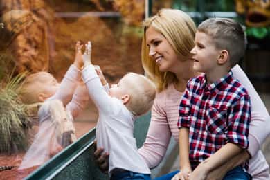 Zoo med privat transport och biljetter