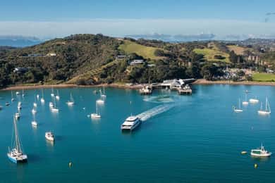 Fra Auckland: Waiheke Island retur hurtigfærge billet