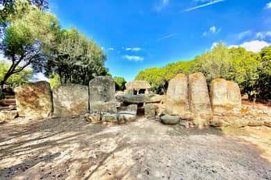 Journey Through Time - Discover Sardinia's Ancient Treasures