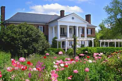 From Charleston: Boone Hall Plantation Entry with Transfers