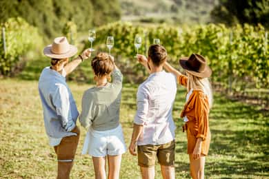 Sonoma Valley: Guided Winery Tour with Picnic Lunch