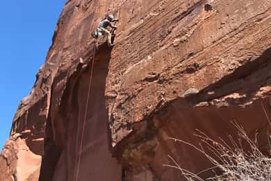 From Springdale: Half-Day Rock Climbing Experience