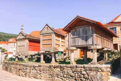 A partir de Santiago: Excursão às Rías Baixas + Passeio de barco e degustação de Albariño