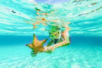 St. John: Caneel Bay, kajak, vandretur og snorkling – 3-timers tur