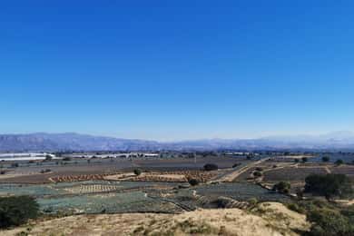 From Guadalajara: Tequila Tour: Tasting Experience & Lunch