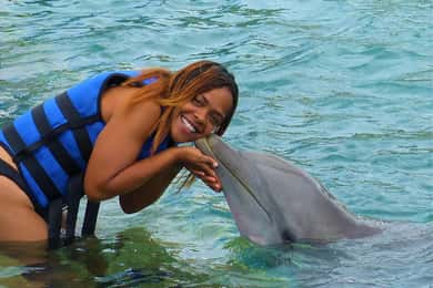Coral World Ocean Park: Dolphin Moment