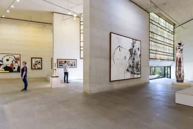 Mallorca : Biglietto d'ingresso alla Fondazione Miró