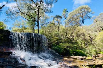 Sydney: Luxury Blue Mountains Adventure with Wentworth Falls