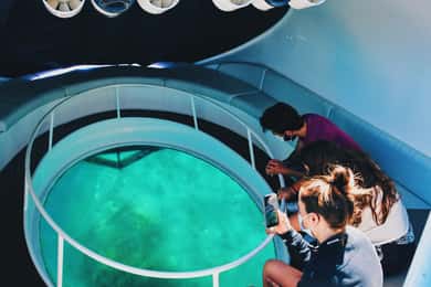 São Miguel: Glass Bottom Boat Tour with Snorkeling