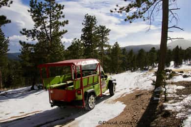 Estes Park: Rocky Mountain National Park Safari Tour