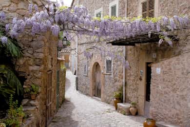 Valldemossa: Discover Valldemossa with a transfer from Palma