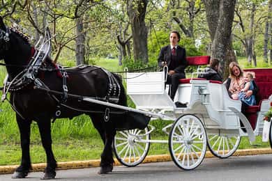NYC Privat tur med häst och vagn i Central Park med guide