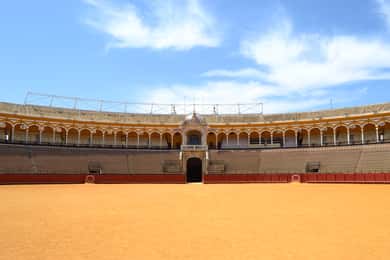 Sevilla: Plaza de Toros und Barrio Santa Cruz Tour