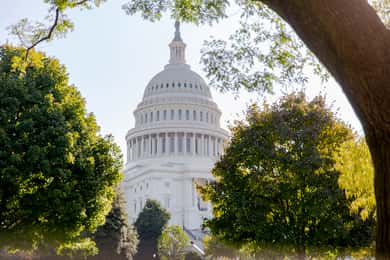 Washington DC: Bustur med adgang til US Capitol og arkiver