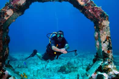Underwater Museum Musa : SCUBA DIVING FOR BEGINNERS