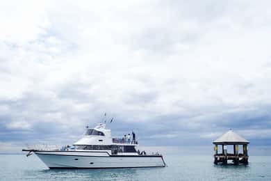 Sorrento,Mornington Peninsula: Wildlife & Sightseeing Cruise