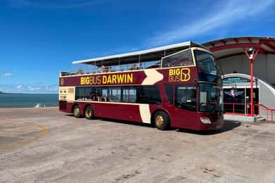 Darwin: excursão de ônibus panorâmico com teto aberto e grande entrada