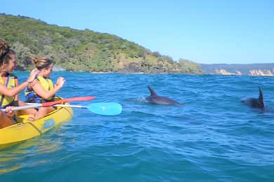 Rainbow Beach: Kayaking with Dolphins and Beach 4WD Tour