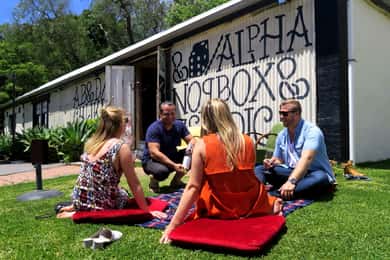 Desde Adelaide: Boutique McLaren Vale Wine Tour con almuerzo