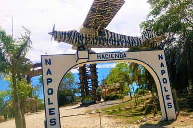 De Medellín: Excursão Privada Hacienda Nápoles de Pablo Escobar