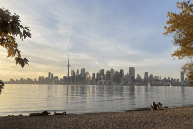 Toronto: Bus or Walking City Tour in English or French