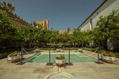 Tour della moschea-cattedrale e dell'alcazar