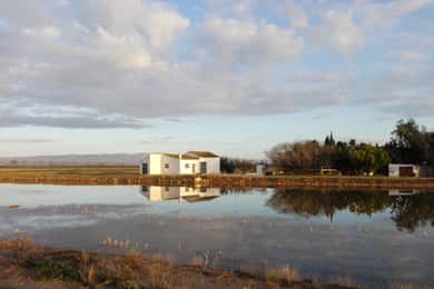 Ebro Delta: Guidad tur i norra deltat med en lokal guide