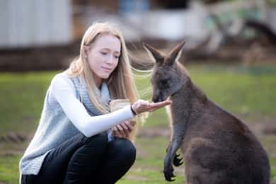 Admission Ticket to Bonorong Wildlife Sanctuary