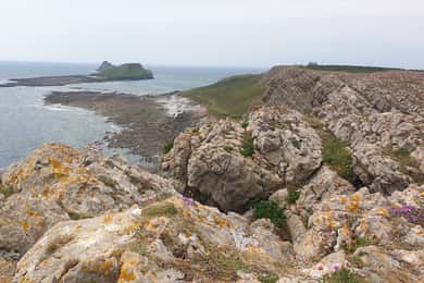 From Cardiff: Mumbles and Gower Peninsular Tour