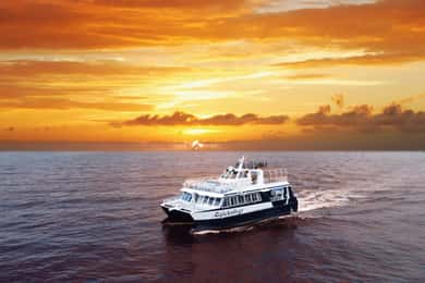 From Ma'alaea: Sunset Dinner Cruise Aboard the Quicksilver