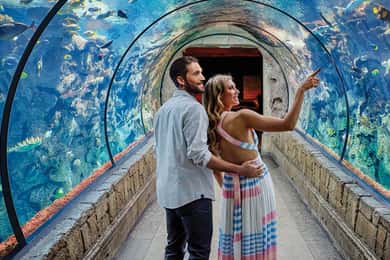 Входной билет в аквариум Shark Reef и виртуальную реальность