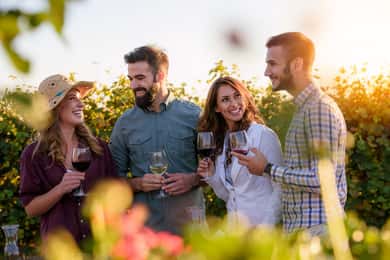 San Francisco: Redwood & Wine Country Tour with Lunch & Wine