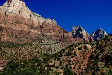 From Las Vegas: Private Transfer to Zion National Park