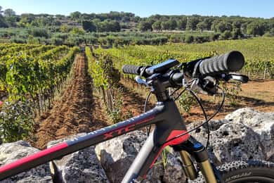 Open guided bike tour in Locorotondo and Alberobello