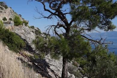 Samos: Half-Day Kasonisi Boat Trip ( with transportation )