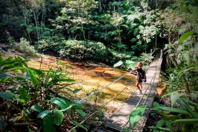 Tijuca Forest: Adventure & History Half-Day Hike