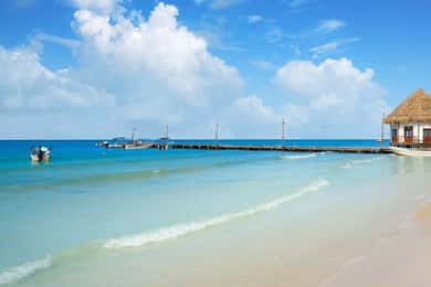 Van Tulum: dagexcursie Holbox Island met lunch