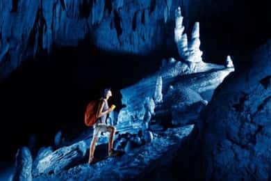 Nadi: Abseiling, Zipline, and Cave Tour with Meal