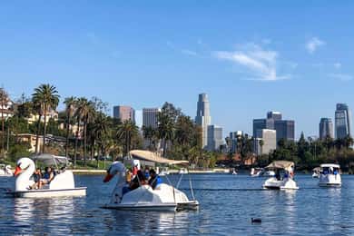 Echo Park Lake: alquiler de botes a pedales Swan