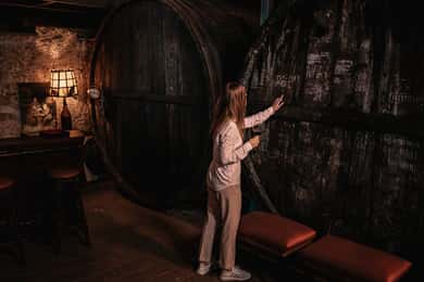 Etna: Bodega Urbana, Paseo por los Viñedos y Cata de Vinos al Atardecer