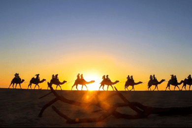 Cabo: Petualangan Safari Unta dengan Tacos