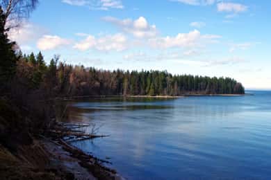 Tallinn : Les meilleurs sentiers de la nature estonienne en une visite guidée d'une journée