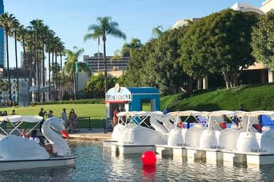 Long Beach: Swan Boat Rental at Rainbow Lagoon