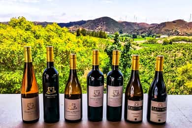 Da Lagos: tour di degustazione di vini di 4 ore per piccoli gruppi