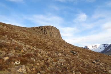 Rock Climbing Experience with Gear Included