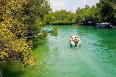 Madu River Boat Tour and Cinnamon Garden visit