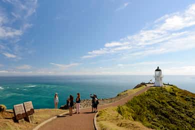 Paihia: Cape Reinga and Ninety Mile Beach Trip with Lunch
