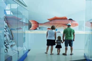 Toronto Cupón de Exposiciones Especiales del Museo Real de Ontario