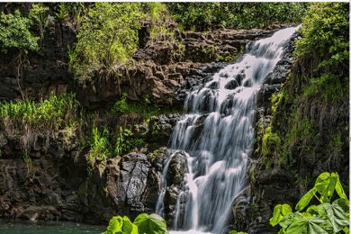 Oahu Hidden Gems & Waimea Botanical Garden/Waterfall tour