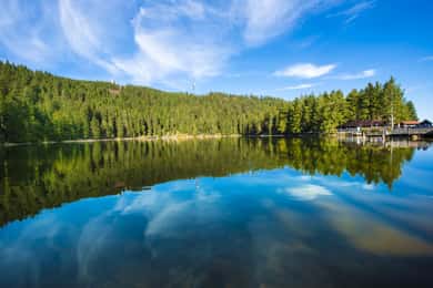 From Strasbourg: Black Forest and Baden Baden Day Trip